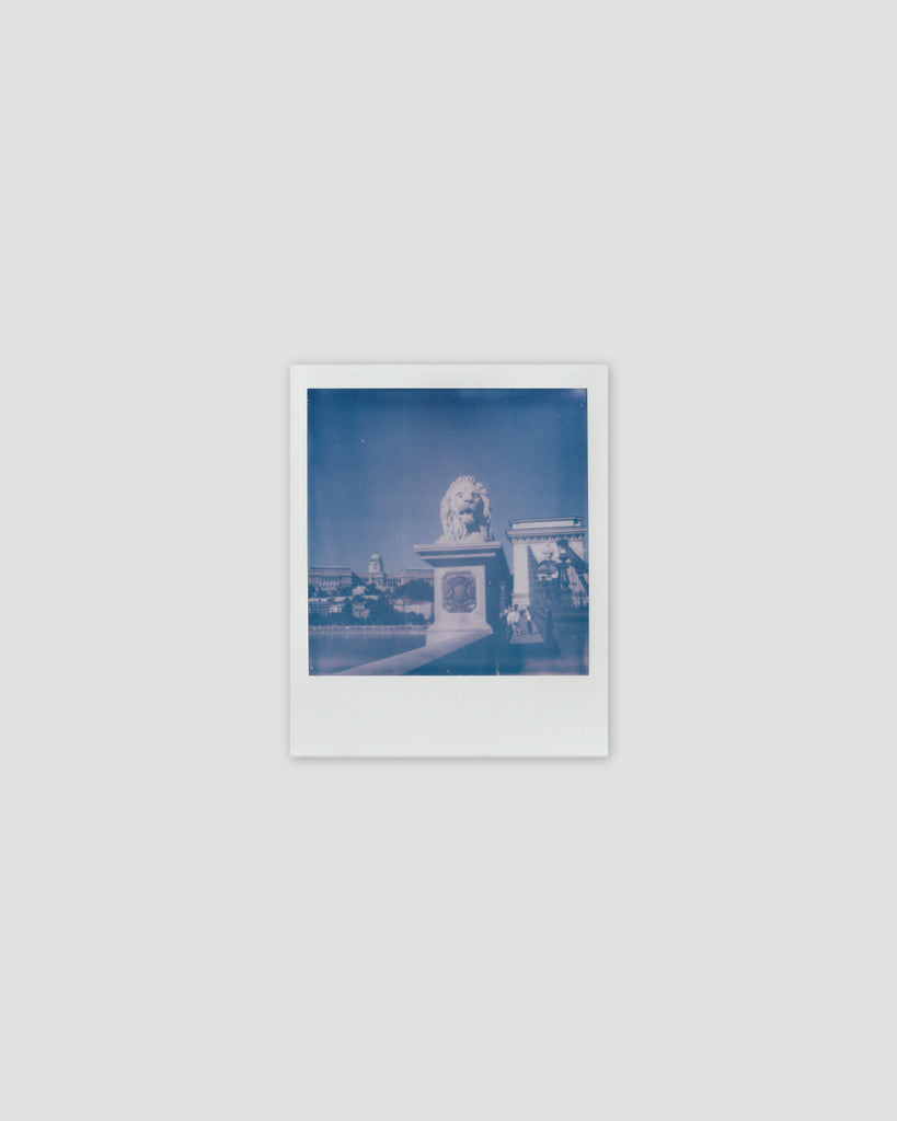 Chain Bridge Polaroid, 2024